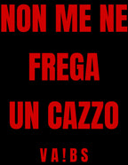 Non me ne frega un cazzo